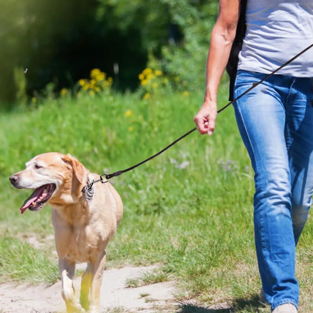 Cavo di sicurezza per cani da 3 m, resistente, per cani, campeggio, picnic, colore: nero