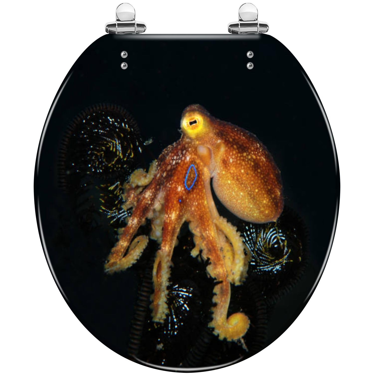 Dxpsxjl One Color Black Marble Round Toilet Seat With Quiet Close Smudge Grey Effect, Quiet, Black, Marble, Round, Close, Seat, Smudge, Toilet, Adjustable, Lightweight, Durable, Portable