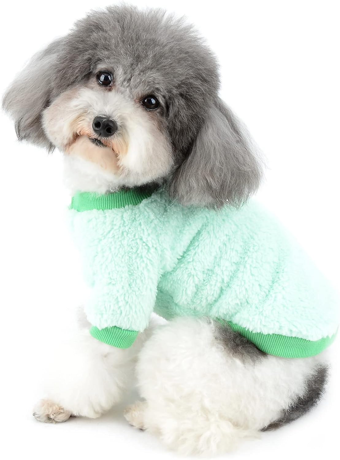 fluffy dog jumper
