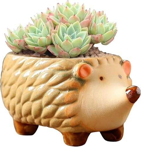 Miniatura 7 de Macetas de cerámica con forma de animal lindo cactus suculento con bandeja (planta no incluida) (pequeño, pato)