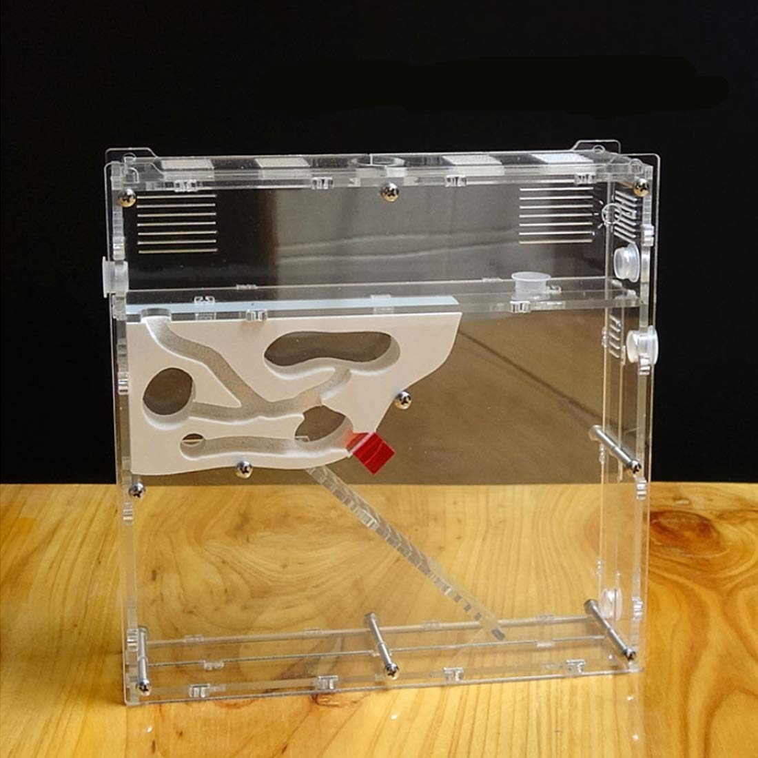 Amazon | Yiteng アリ飼育キット 3D立体構造 アクリルケース 砂巣 アリ