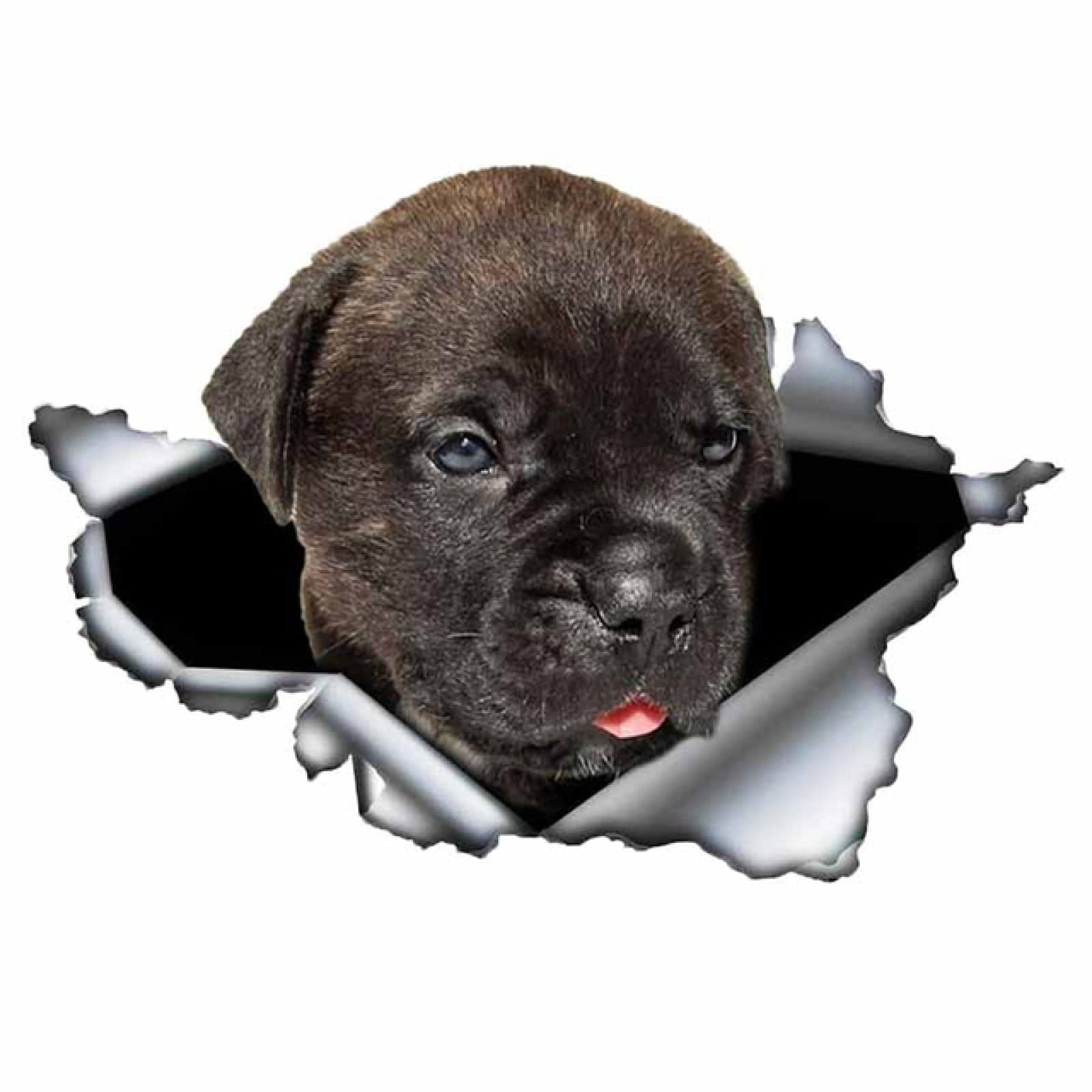 MUEdie 1 PCS Strappato Decalcomania del Metallo Nero Cane Corso Adesivo Auto Adesivi Riflettenti Impermeabile Car Styling Pet Dog Decalcomanie 13 cm X 8 cm