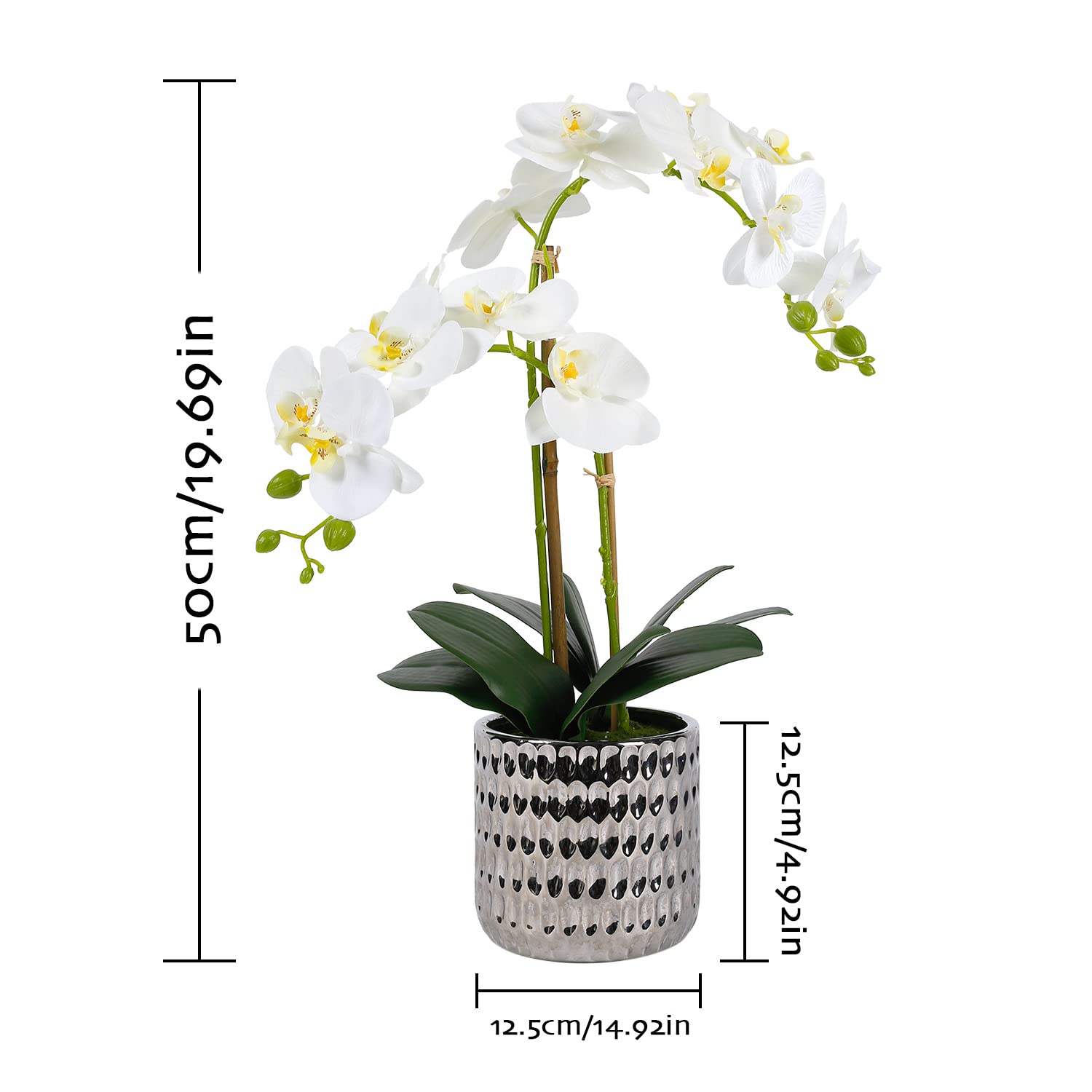 Amazon｜LIVILAN 人工蘭の花 シルク蘭 白い胡蝶蘭 オルキデア 人工的