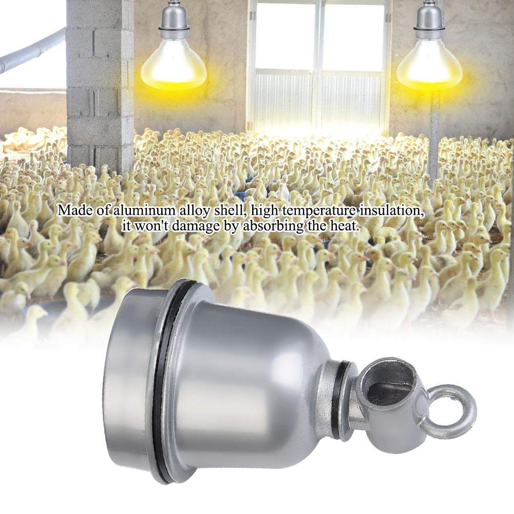 Oprawka gadów Ceramiczne gniazdo grzewcze na wysoką temperaturę Żarówka Brooder E27