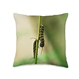 Worms in Earth Throw Pillow