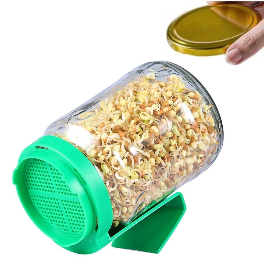 Sprouts Maker Glass 950ml Large Sprouts Maker for Home Use BPA-Free Sprouting Drain Lid Handle Reusable Glass Sprout Maker All Seeds Beans-picture-32