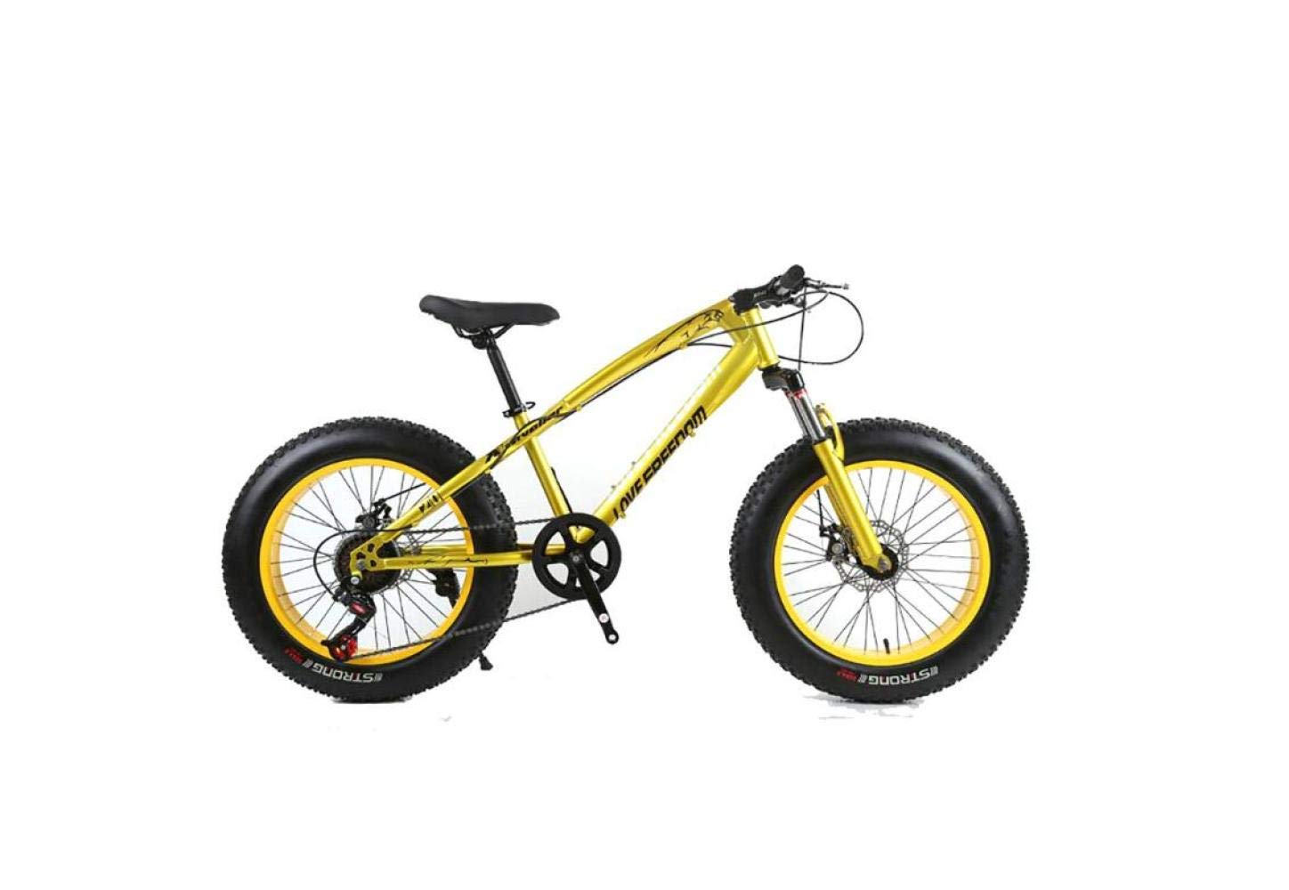 Mountain Bike Unisexe Hardtail Mountain Bike 7/21/24/27 Vitesses 26 Pouces Fat Tire Vélo de Route Vélo de Neige/Vélo de Plage avec Freins à Disque e