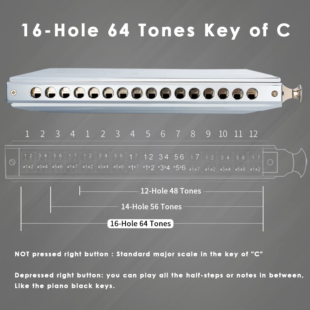 Swan SW1664 - Armonica cromatica in Do con 10/12/16 fori, 40/48/64 toni, strumenti musicali con precisione progettata per principianti