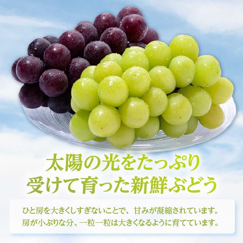 Amazon.co.jp: 【先行予約】＜2026年発送＞東浦町産 種なし巨峰