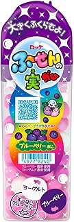 ロッテ ふ~せんの実(ブルーベリー) 35g×10個