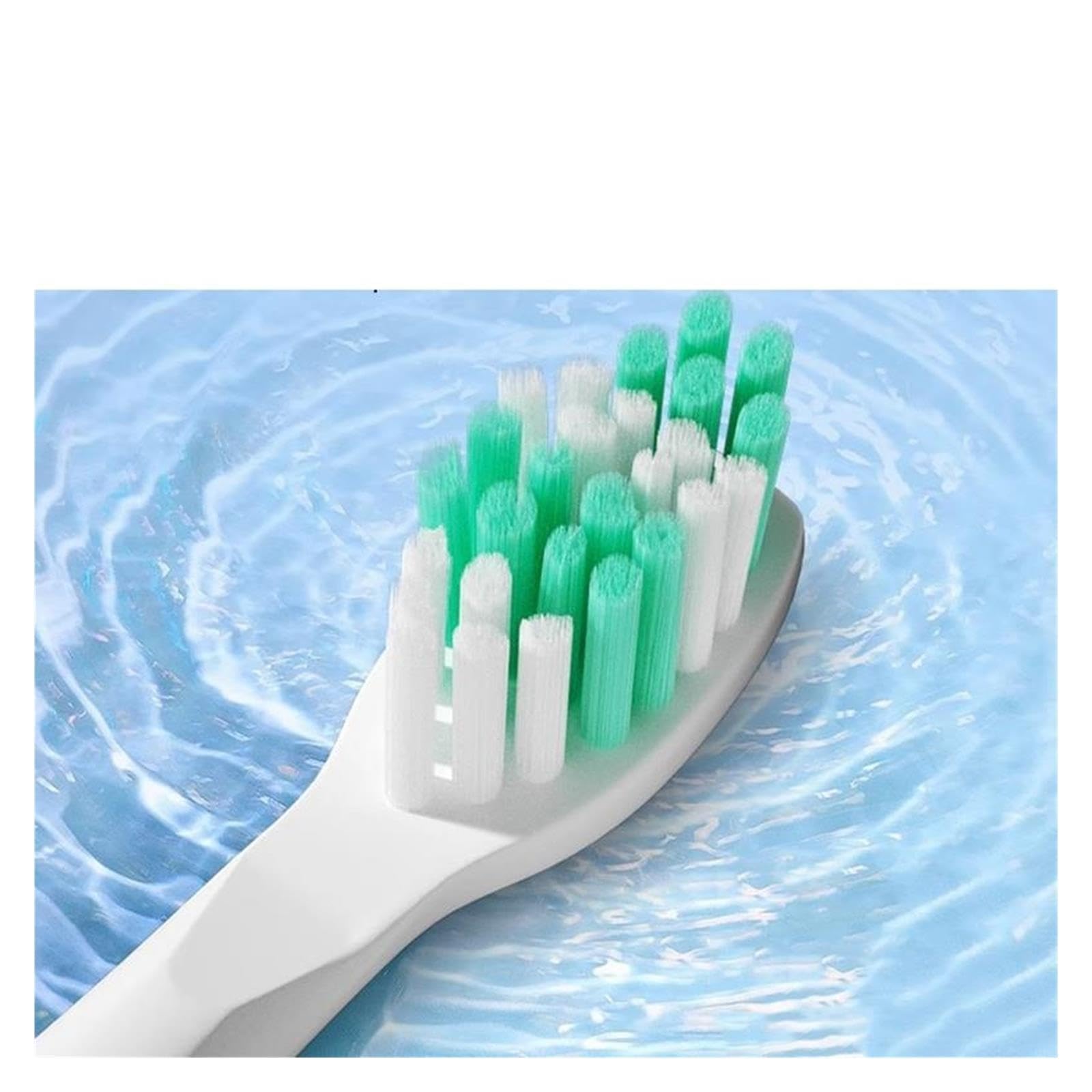 Testine Di Ricambio, Compatibile Con Seago, E1/E2/E3/E4