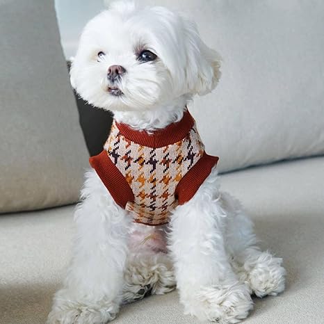 maltese clothes amazon