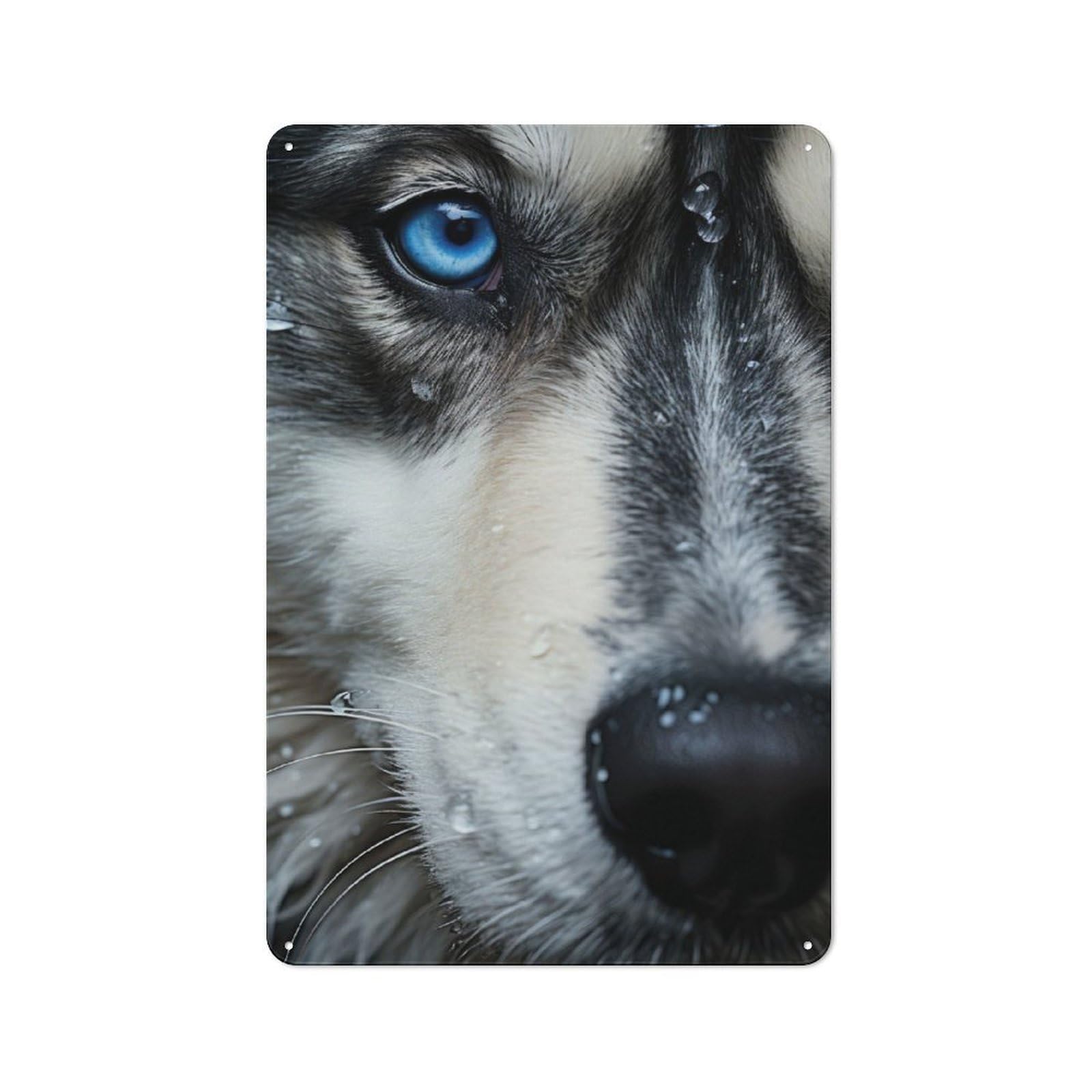Junmoney Husky Eyes Tin Wall Plaque 30X20cm With For Café Or Home Bar, For Themed Room Decoration, For Living Room And Hallway Decor