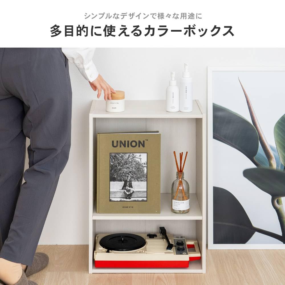 Amazon｜コーナンオリジナル LIFELEX カラーボックス 2段 可動棚