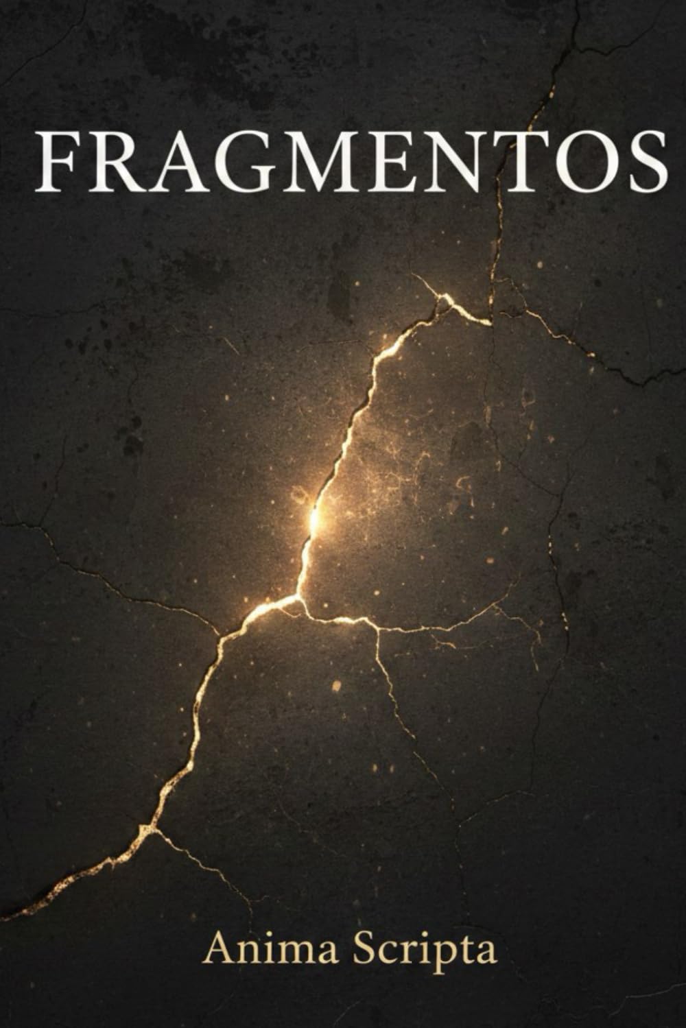 FRAGMENTOS