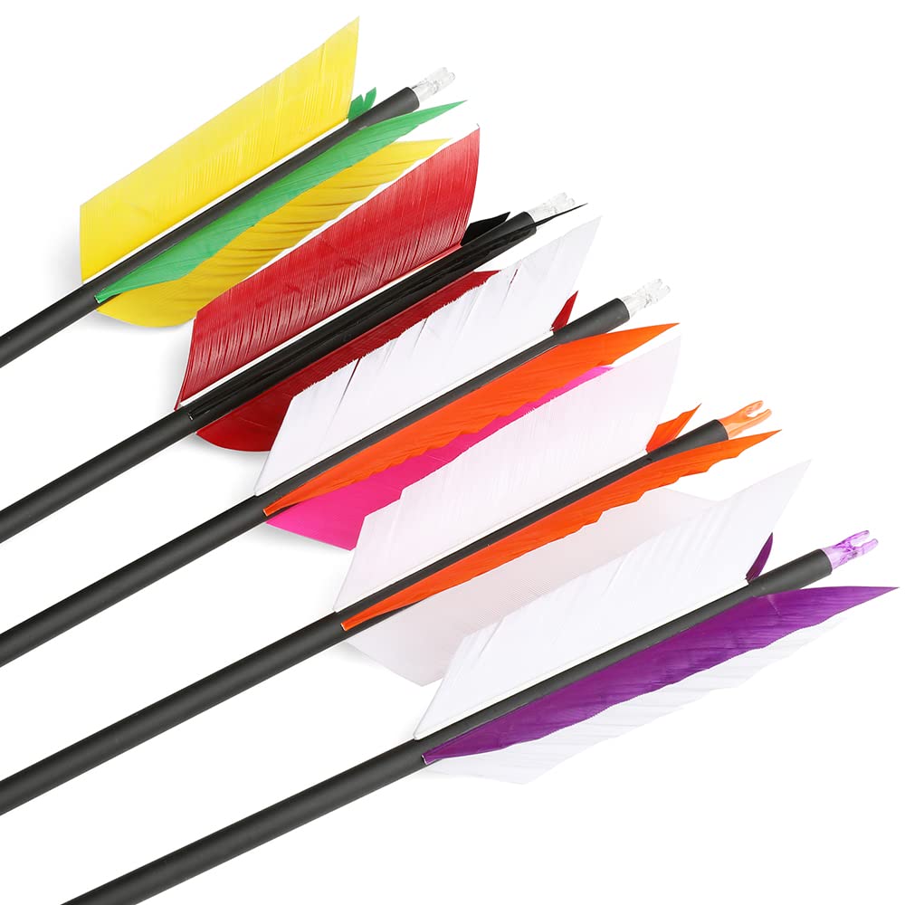 12 Stück 30 Zoll Carbonpfeil Flu-Flu Pfeil mit 4pcs Truthahnfedern Befiederung 500 Spine Jagd Zielpfeil für Bogenschießen Compound Bogen Recurve Bogen