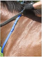 Vista 2 de Nunn Finer Correa de nailon para el cuello