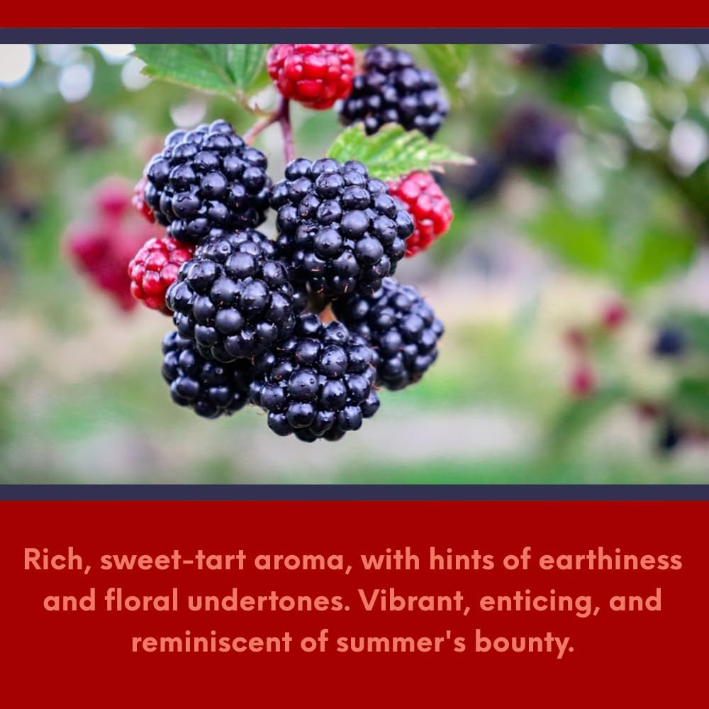 Black Berry from Our Fruit Collection - Perfect for Adding Aroma to Freshies, Candles, Soaps, and Diffusers - 8 oz - Image 2