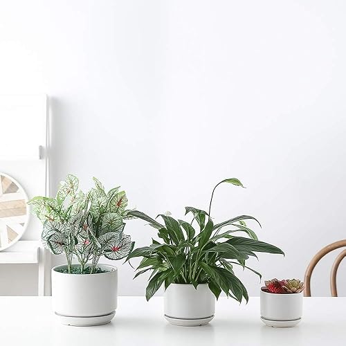 Miniatura 8 de Yishang Macetas suculentas de cerámica esmaltada de 6.7 + 5.3 + 4.1 pulgadas con platillos conectados, macetas redondas de cerámica modernas,
