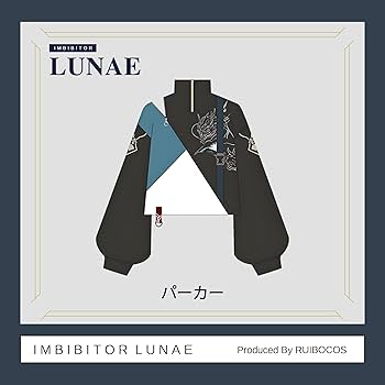 Amazon.co.jp: [RUIBOCOS] 崩壊：スターレイル 丹恒 飲月(たんこう