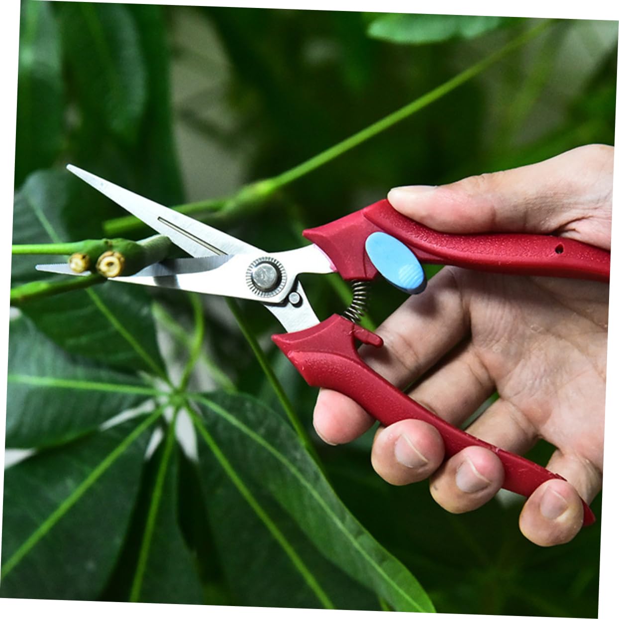 Mipcase 3pezzi Forbici Da Giardinaggio Ergonomiche Per Potatura Cesoie Multi-funzione Per Rami e Fiori Blades Inossidabile Per Uso Duraturo Strumento Per Giardinaggio e Del