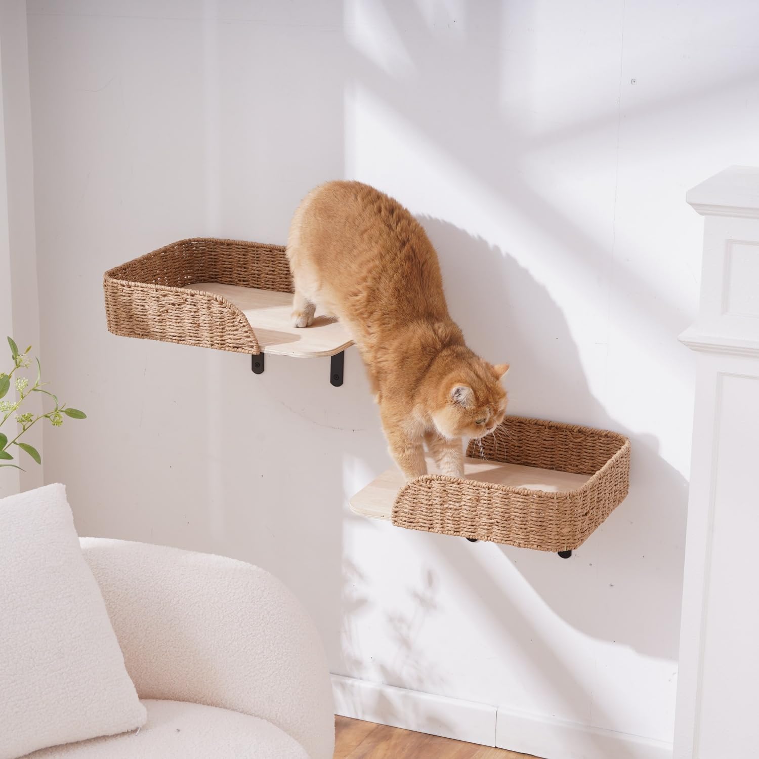 SHENGOCASE Modern Wall Mounted Cat Bed Perch with Handwoven Guardrail, 2-Pack, Wooden Shelves with Washable Pillow Cushions, Wall Furniture Set