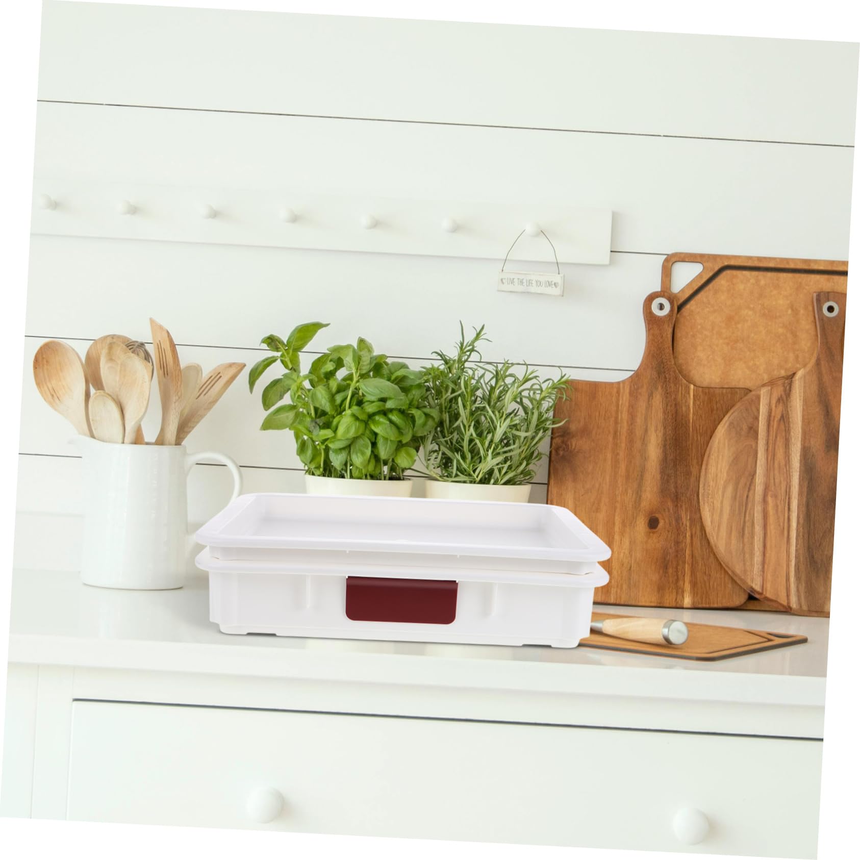 SHOWERORO Contenitore in Plastica Per Lievitazione Di Impasto Pane E Pizza Con Coperchio Bianco Impilabile Per Conservazione E Refrigerazione