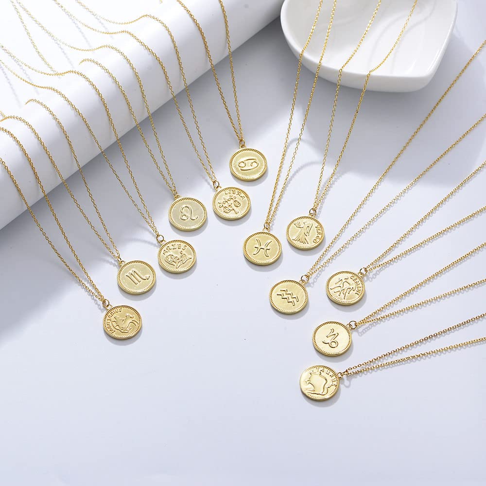 Sternzeichen Kette,S925 Silber Sternzeichen Halskette Für Frauen Exquisite Münze Halskette Gold Halskette Horoskop Anhänger Halskette Freundschaft Schmuck Geschenk Für Mädchen Männer,Steinbock