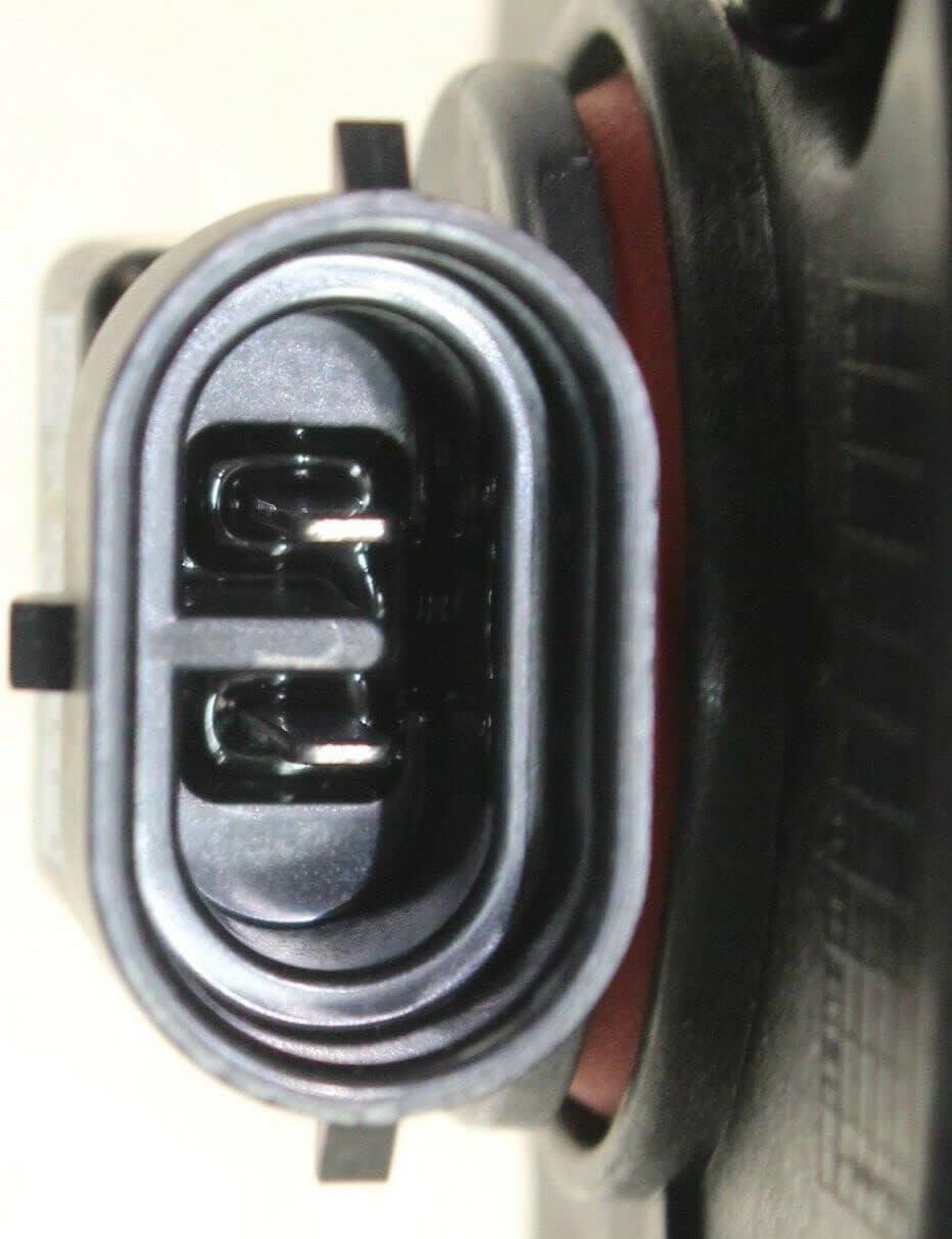 2019 2020 2021 2022 Dodge Ram 1500 Fog Light Assembly - Fits Driver Side or Passenger Side - Halogen Fog Light For Ram 1500 Big Horn, Lone Star, Tradesman, HFE, Special Service