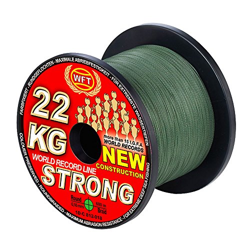 WFT KG Strong Schnur 600m 0,25mm 39kg, Farbe:Grün