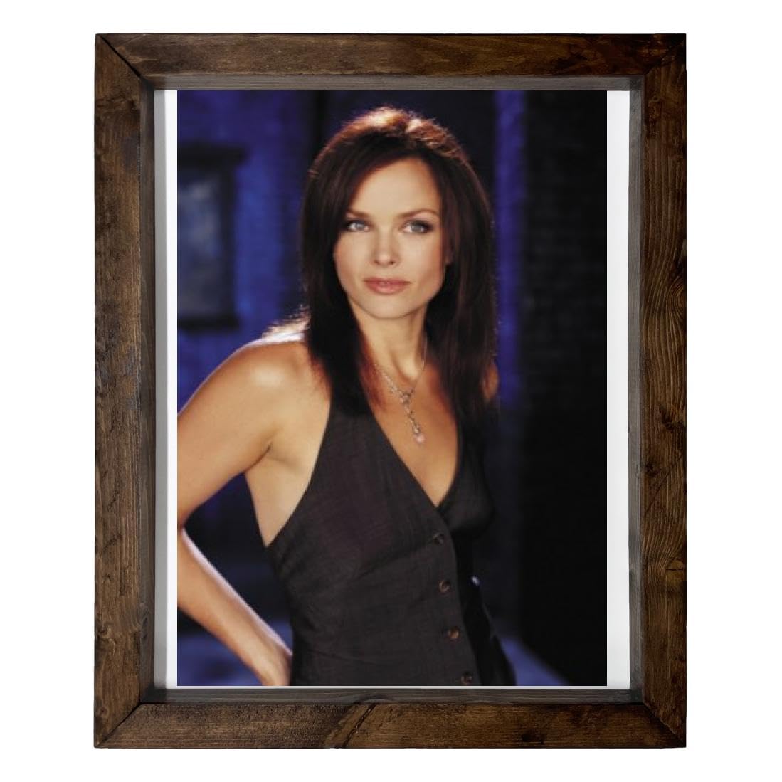 Dina Meyer - 14X17 Full Color Photo Sign With Wood Frame PTR #G224628