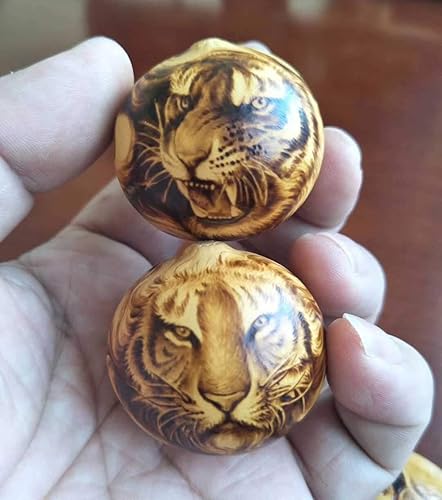 Miniatura 7 de TOPCHANCES Kit profesional de combustión de madera para adultos, 110 V 60 W, kit de herramientas de pirografía con bolígrafo y 20 puntas de