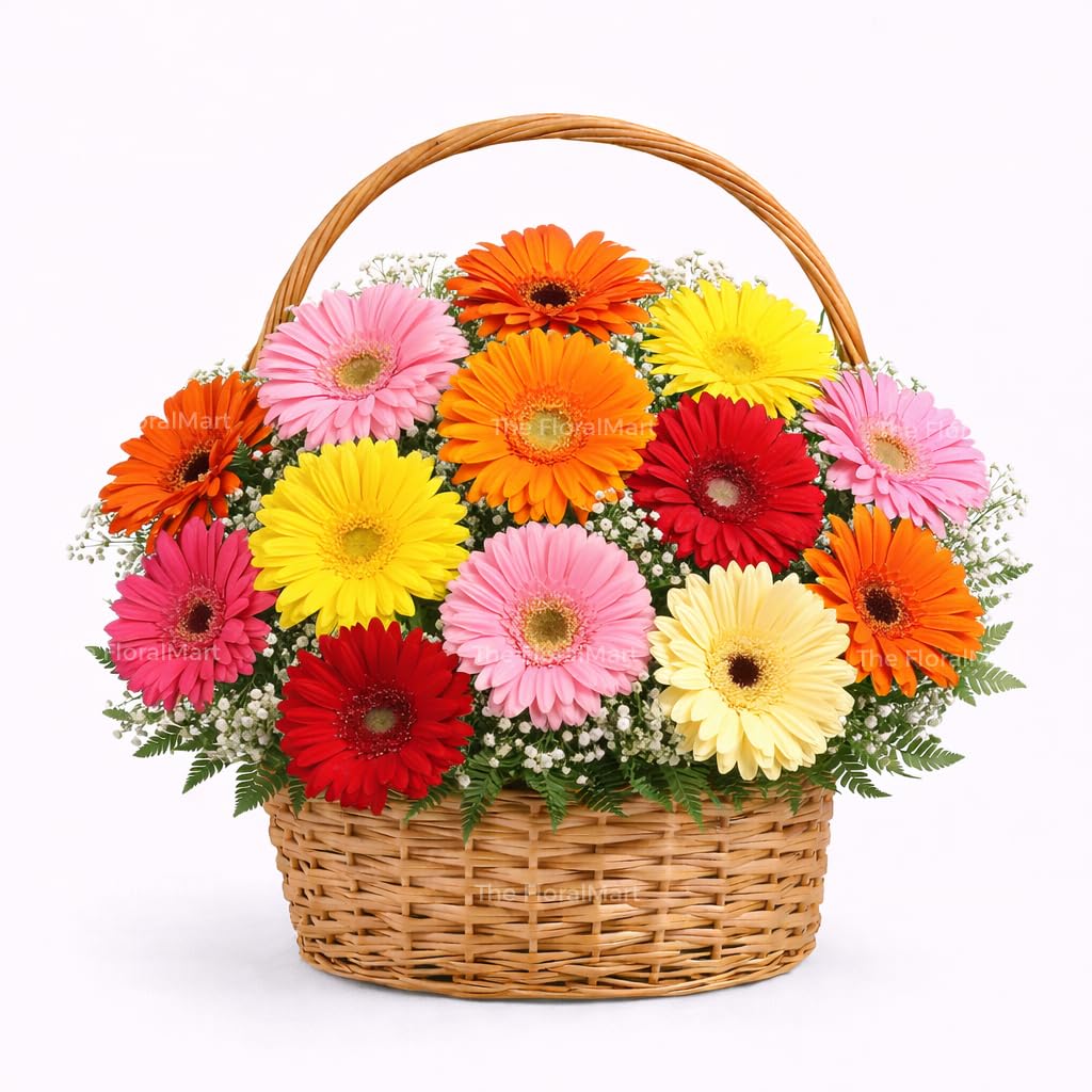 The FloralMart Basket of 12 Mixed Gerberas Fresh Flowers with Seasonal Fillers, for Birthday Gift, Anniversary Gift, Wedding Gift, Valentines Day Gift, (Same Day Delivery)-image-31