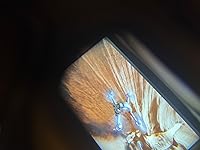 Review Image by Dave Dave