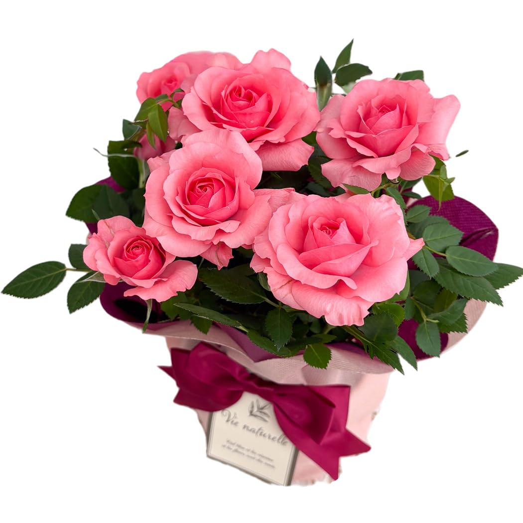 ローズミニ120本 ピンク造花 薔薇 インテリア イングリッシュローズ Amazon.co.jp: 来年2027年お届け 【ありがとうを伝える】 母の日 花