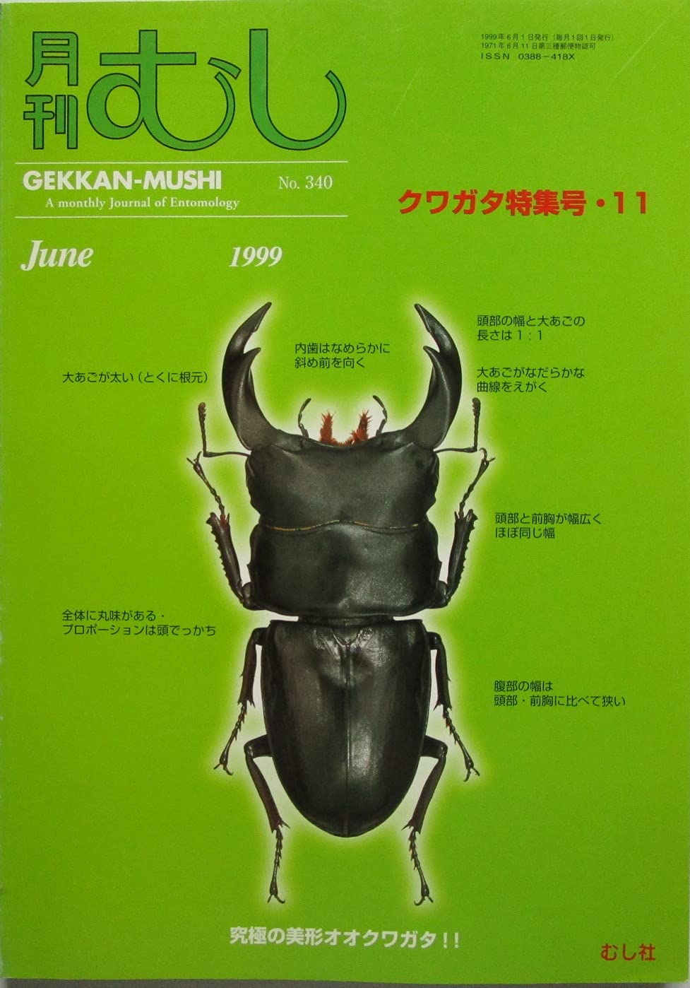 月刊むし Gekkan Mushi クワガタ特集号 11 1999年6月 No 340 藤田宏 本 通販 Amazon 月刊むし Gekkan Mushi クワガタ特集号 11 1999年6月 No 340 藤田宏 本 通販 Amazon