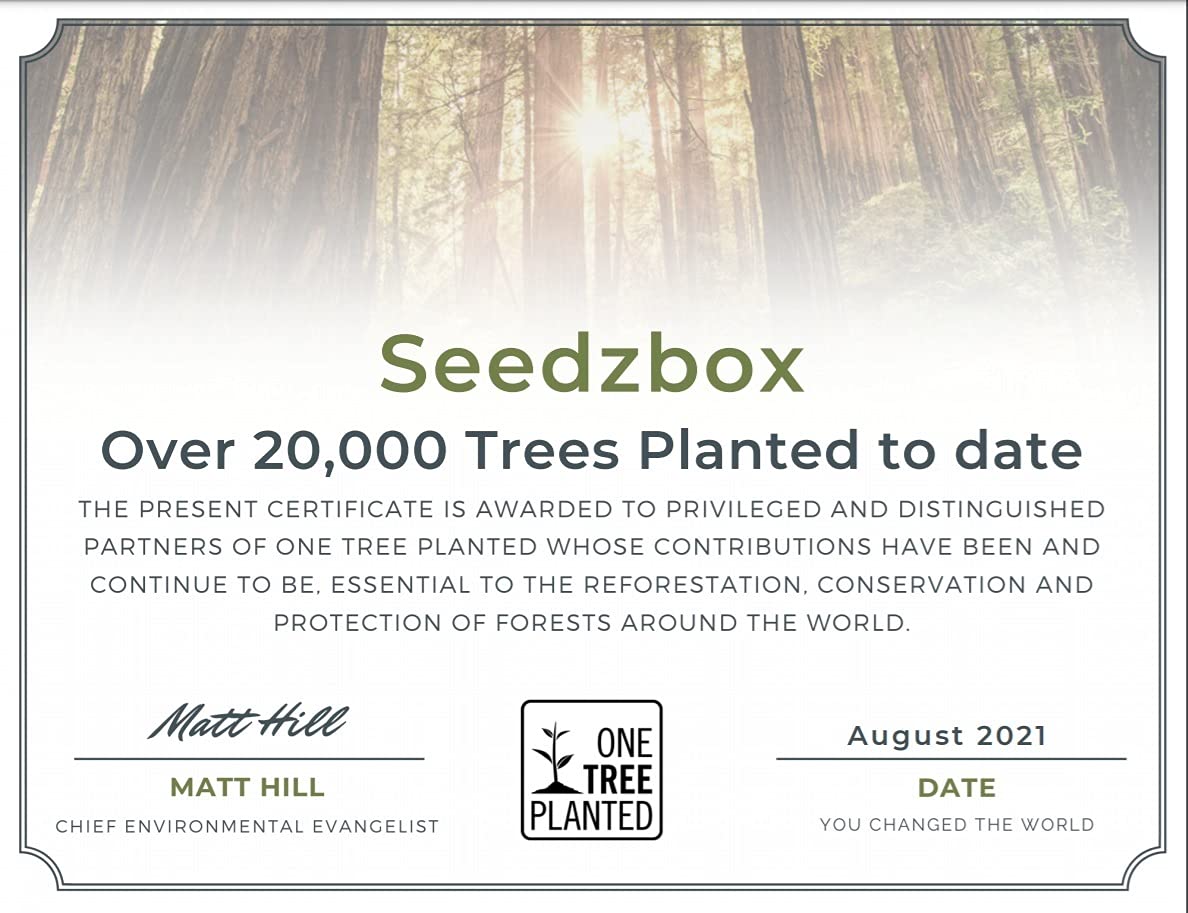 Buy Budgie Food Seed Feed Mix Feed, SeedzBox Ultimate Deluxe, Natural