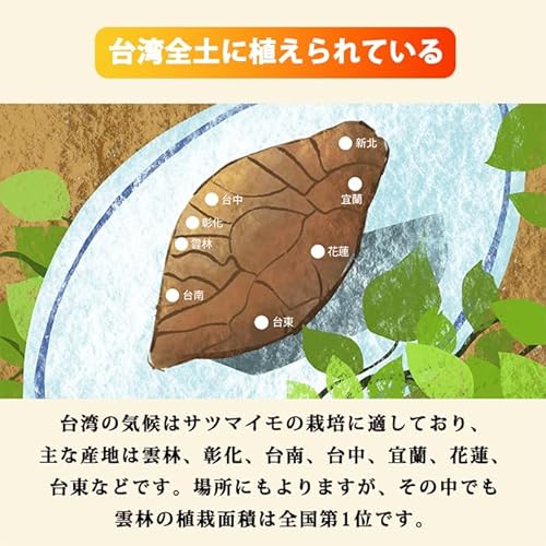 えびねの多彩生活 さつまいも 焼き芋 冷凍焼き芋 500g の商品画像 2