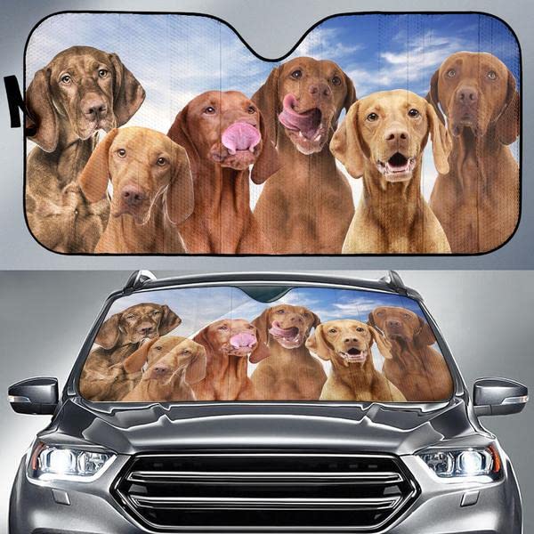 Pare-soleil avant de voiture universelle motif Magyar Vizsla taille L