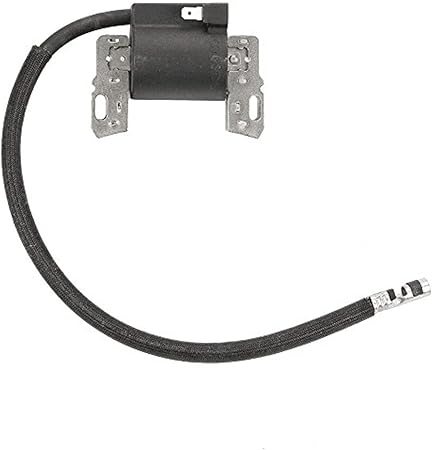 Review PARTSRUN COIL Ignition Module for Briggs&Stratton 591459 495859 491312 490586 492341 690248 715231 795315 799650 New,ZF-IG-A00055