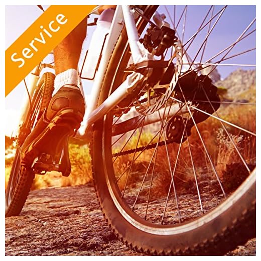 Bicycle Assembly - Electric - At-Home