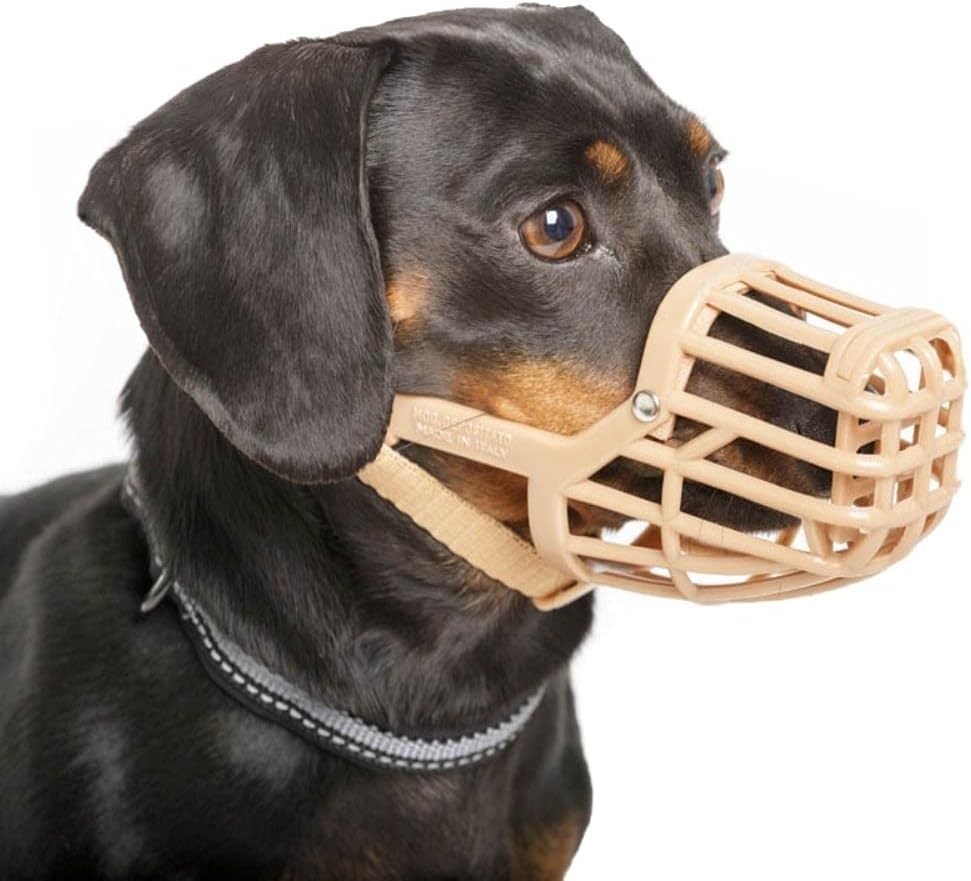 Safe BASKERVILLE ANTI SCAVENGE MUZZLE, Size 1, Dog can Pant and Drink, Prevents Biting and Food Waste Scavenging, Ideal for Longer Nosed Dogs, Breathable Dog Training Muzzle for Small Dogs