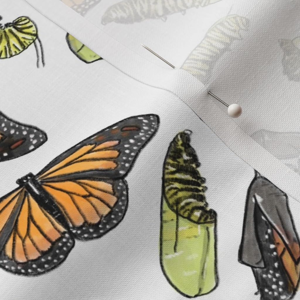 Spoonflower Fabric - Monarch Entomology Butterflies Stem Insects Scientist Entomologist Printed on Petal Signature Cotton Fabric by The Yard - Sewing Quilting Apparel Crafts Decor