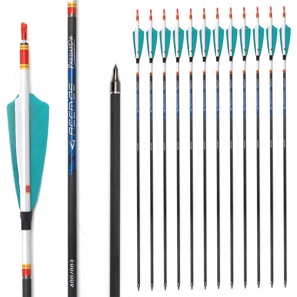 12pc 25-Inch 500-Spine Arrow Removable Tips Targeting Hunting Arrow 4" Turkey Feather Feathered Carbon Arrows for Traditional Bow Long-Bow Recurve Bow Compound Bow Adult Youth Archery Lake Blue A26