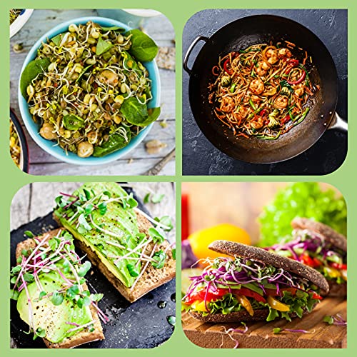 Leafimpact 1 Pack Seed Sprouting Jar Kit | Complete Indoor Growing Set For Making Sprouts | Easy Fresh Sprouts At Home thumb #5