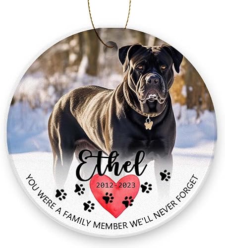 Dog Memory Ornament, Personlized Presa Canario Ornament Keepsake for Loss of Loved Pets,You were A Family Member We'll Never Forget Customized Dog