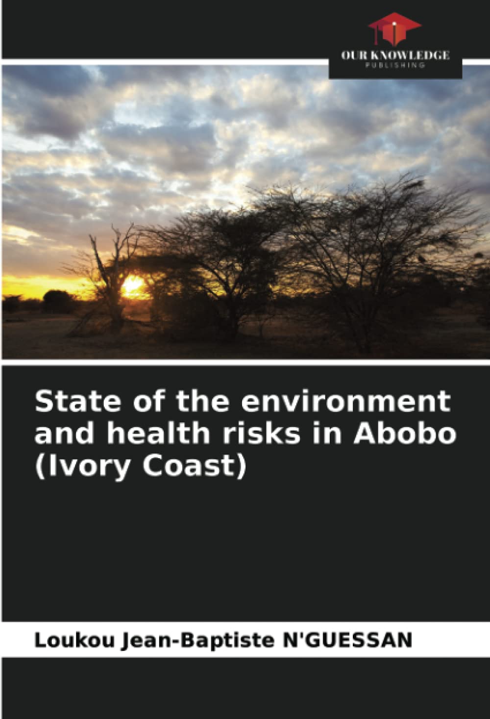 State of the environment and health risks in Abobo (Ivory Coast)