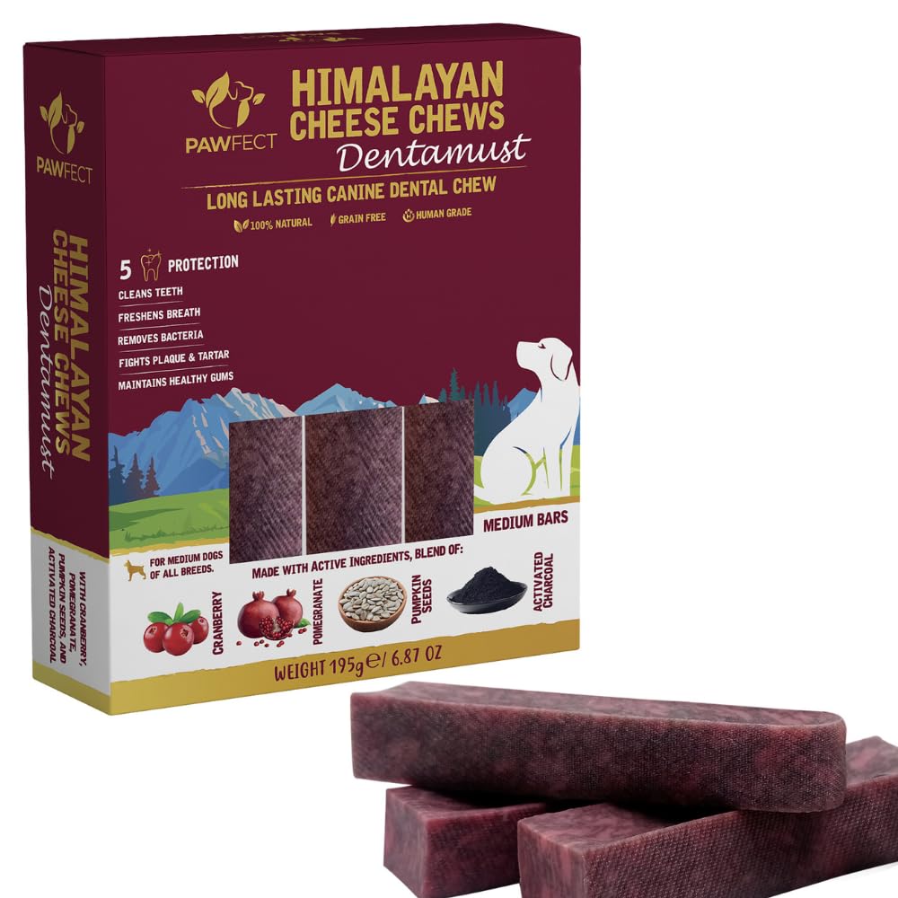 Pawfect Dentamust Himalayan Cheese Chew with Cranberry & Pomegranate for Medium Dogs|Superman Edition | Long Lasting Dental Chews with Superfoods| All Natural, High Protein| Pack of 3(195g/6.88oz)