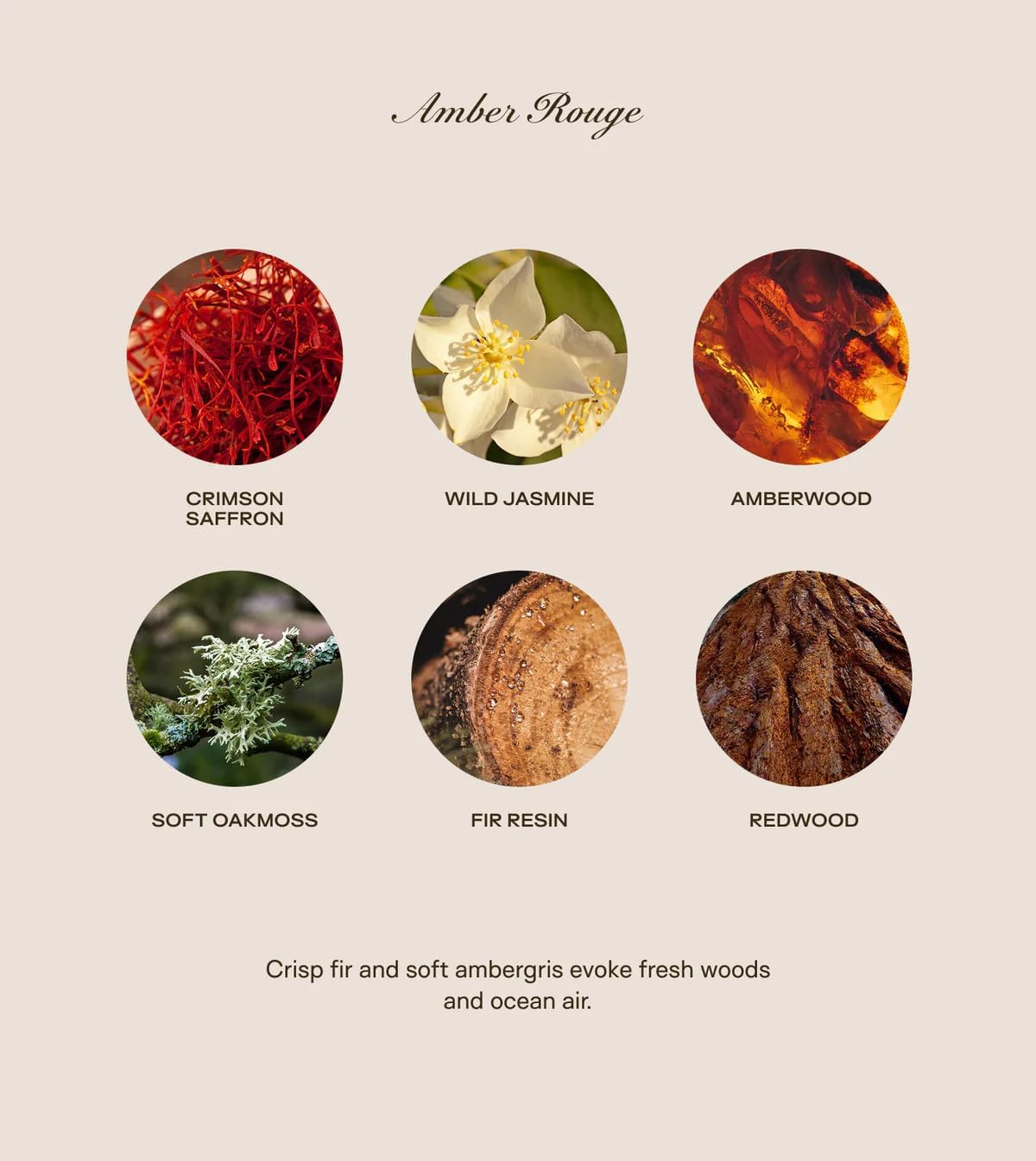 | 150oz, Up to 500 Hours | Amber Rouge | Saffron, Jasmine, Amberwood | Natural Coconut-Soy Wax | by Big Ass Luxuries | As Seen On Shark Tank