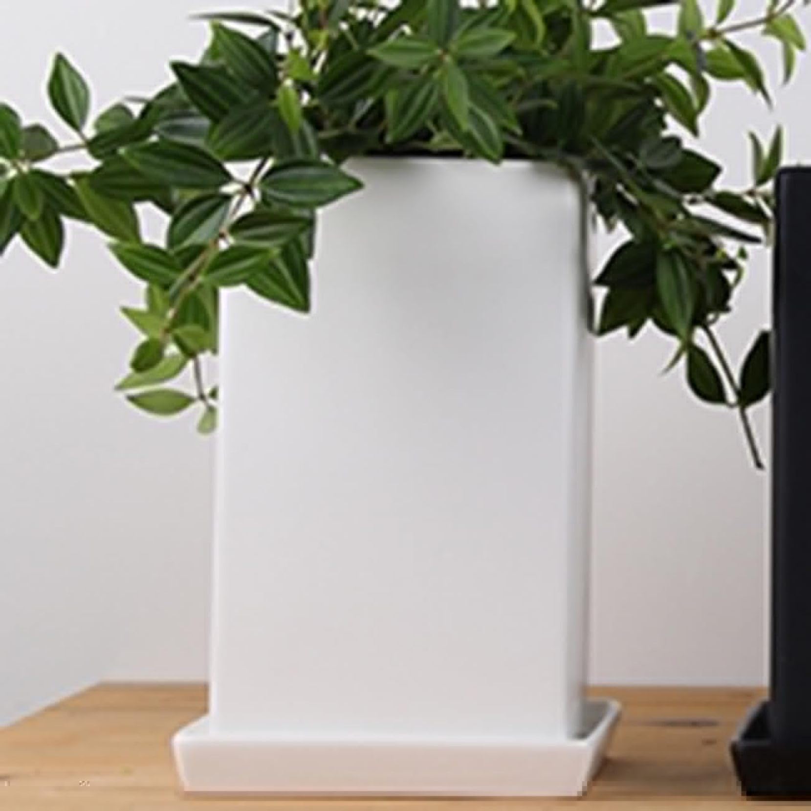 Amazon.co.jp: 陶器鉢 安定感のあるスクエア鉢で、どの植物を植えても